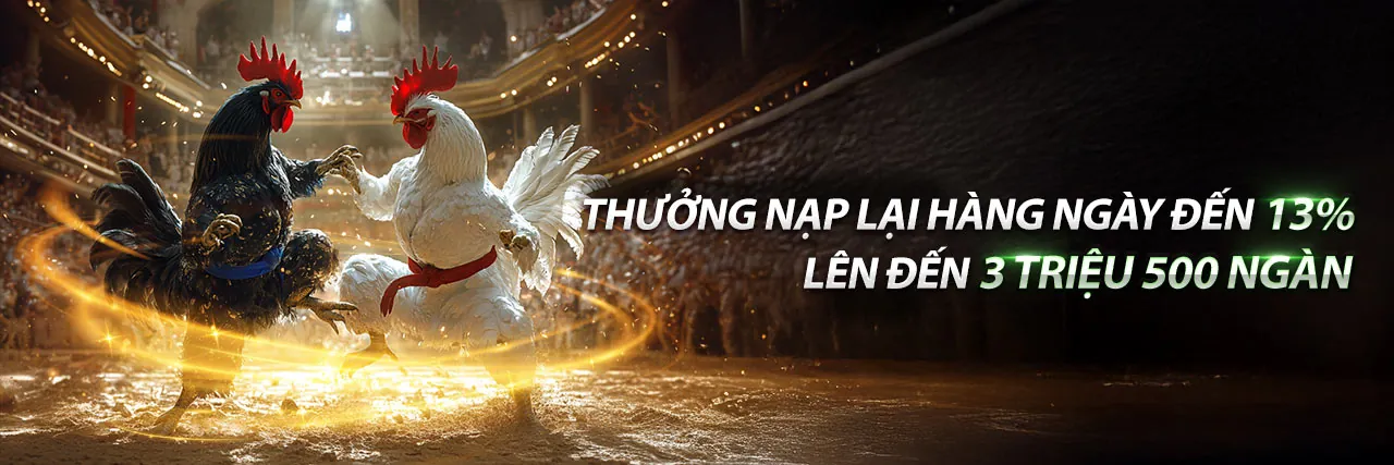 Sân đấu đá gà trực tuyến sôi động tại 88kim chính thức